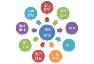 網絡營銷與網絡推廣實操指南 從策劃到執行的全流程解析